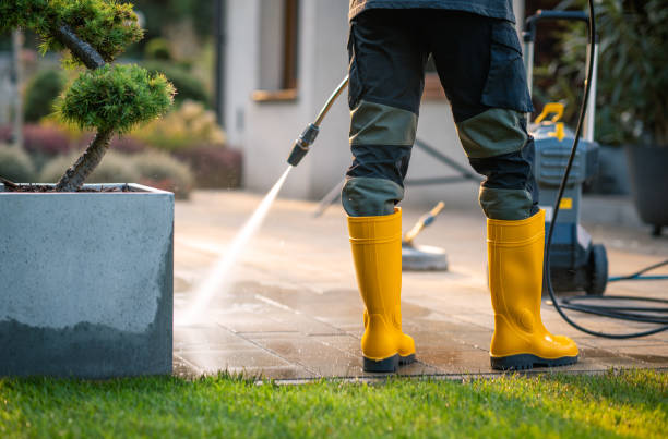 Best Roof Pressure Washing  in Picacho Hills, NM